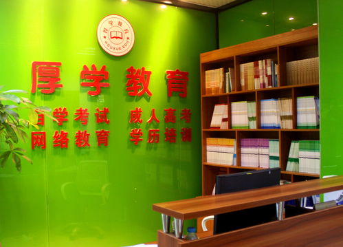 厦门厚学教育 引领艺术梦想，专业绘画培训赋能未来